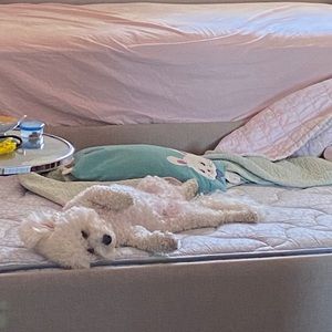 Meet your Posher, Kate